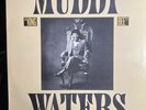 MUDDY WATERS - KING BEE -1981 FIRST PRESS NM LP GUITAR BLUES WINTER VINYL RECORD