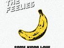 The Feelies - Some Kinda Love: Performing The Music Of The Velvet Underground (I