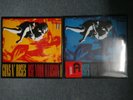Guns N´Roses 2x DLP 