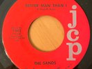 THE SANDS  Little Things / Better Man Than I   NC JCP Garage 45 1966 RARE  EX