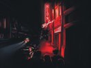 Andy Shauf The Neon Skyline (Vinyl) 12