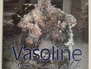 Stone Temple Pilots - Vasoline - 12” Vinyl Single 1994 Atlantic 7567-85650-0