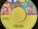 AFROSOUND - CUMBIA ARABE  45RPM  (listen )