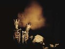 Riot Act, Pearl Jam, New
