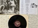 ALICE DONUT -  'Mule' LP - Alternative Tentacles Records Original 1990