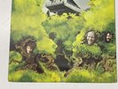 DR. STRANGELY STRANGE - HEAVY PETTING “RARE IRELAND/ENGLISH IMPORT  1970 LP”
