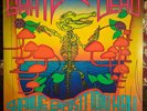 Grateful Dead Shrine Expo Hall Los Angeles 11/10/67 3xLP 2016 Ltd 6700