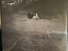 John Zorn Naked City LP New Sealed Vinyl Record