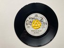 Sex Pistols - Holidays in the Sun 7