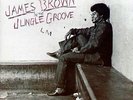 James Brown - In The Jungle Groove - Used Vinyl Record - A12214z