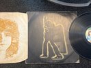 T.Rex 