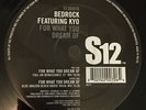 Bedrock - For What You Dream Of - Used Vinyl Record 12 - A7435z