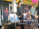The Wallflowers - Breach LP   NM 2000 Original with insert