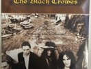 The Southern Harmony and Musical...by Black Crowes - (NEW&SEALED) w/Minor Sleeve