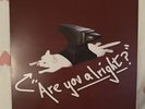 Lovejoy Are You Alright? / Pebble brain vinyl