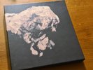 PIXIES - Death to the Pixies - LTD 4x 10'' VINYL BOX SET