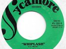 ALABAM Whiplash on Sycamore weird trucker country 45 HEAR