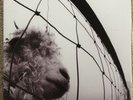 Pearl Jam Vs LP Gatefold Vinyl (2011 Reissue Remaster)