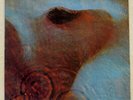 PINK FLOYD MEDDLE ODEON OP80375 JAPAN RED VINYL VINYL LP