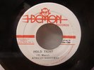 DEMON / HOLD TIGHT - AFRICAN BROTHERS / Jamaica (REGGAE 7