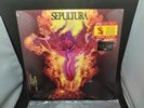 SEPULTURA Above the Remains RED LP (Schizophrenia Beneath Chaos AD Roots Arise)