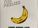 The Feelies - Some Kinda Love Performing The Music Of The Velvet Underground - R