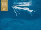 Bill Evans and Jim Hall Undercurrent (Vinyl) 12