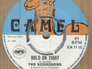 REGGAE*THE SCORCHERS*HOLD ON TIGHT*THE CAMEL LABEL*LISTEN TO IT