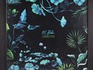 EL BUHO: cenotes WONDERWHEEL 12