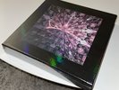 BLACKPINK THE ALBUM Limited Edition Vinyl
