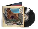 Dave Matthews Band Walk Around the Moon (Vinyl) 12