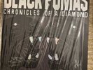 Black Pumas - Chronicles of a Diamond Silver Vinyl Signed Autographed Of 500