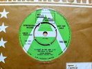 RARE UK TAMLA DEMO TMG 588 - STEVIE WONDER - A PLACE IN THE SUN - VG++