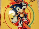 Sonic Mania - SIGNED Sonic Team soundtrack OST SEGA vinyl