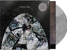 Friendly Fires - Friendly Fires (15th Anniversary) (NEW 12