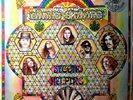 LYNYRD SKYNYRD - SECOND HELPING MCA-37212 (VINYL EXCELLENT / JACKET VG+)