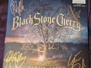 Black Stone Cherry HAND SIGNED VINYL Family Tree Limited Edition Transparent