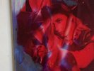 BABY QUEEN-“QUARTER LIFE CRISIS”-PINK+PURPLE Vinyl+PINK GLITTER GEL SLEEVE-No 76
