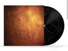 OLIVIA RODRIGO | Can't Catch Me Now Limited Etched Vinyl 7