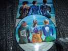 33T PICTURE DISC  PINK FLOYD PARFAIT ETAT