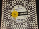 MIKE FURBER BOWERY BOYS 45 THAT'S YOU STOLE MY LOVE 1960s SUNSHINE FREAKBEAT