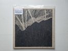 Ivy Lab - Missing Persons EP (CRIT074) #21/50 LP, Vinyl - NM