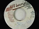 Roots Reggae 45 - Michael Palmer - Don't Smoke The Seed - Hit Bound Jamaica VG+