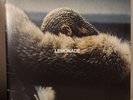 Lemonade [Yellow 180 Gram Vinyl] [Gatefold Cover] by Beyoncé (Record, 2017)
