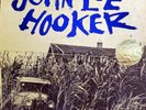 John Lee Hooker-The Folk-Blues of John Lee Hooker LP, 1962 Riverside VG++/EXC.