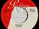 Macka B / Leanna (2) - Never Played A 45 / Grapevine (7