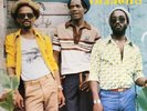 The Viceroys - We Must Unite (LP, Album, RE) (Mint (M)) - 2738798953