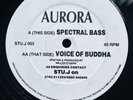 Aurora - Spectral Bass / Voice Of Buddha - Rare Breakbeat Hardcore Record