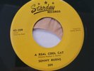 Sonny Burns -A Real Cool Cat- Rockabilly 45 on Starday a3