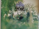 VINYL LP - The Blades Of Grass - Are Not For Smoking - 1967 Jubilee  JGS 8007